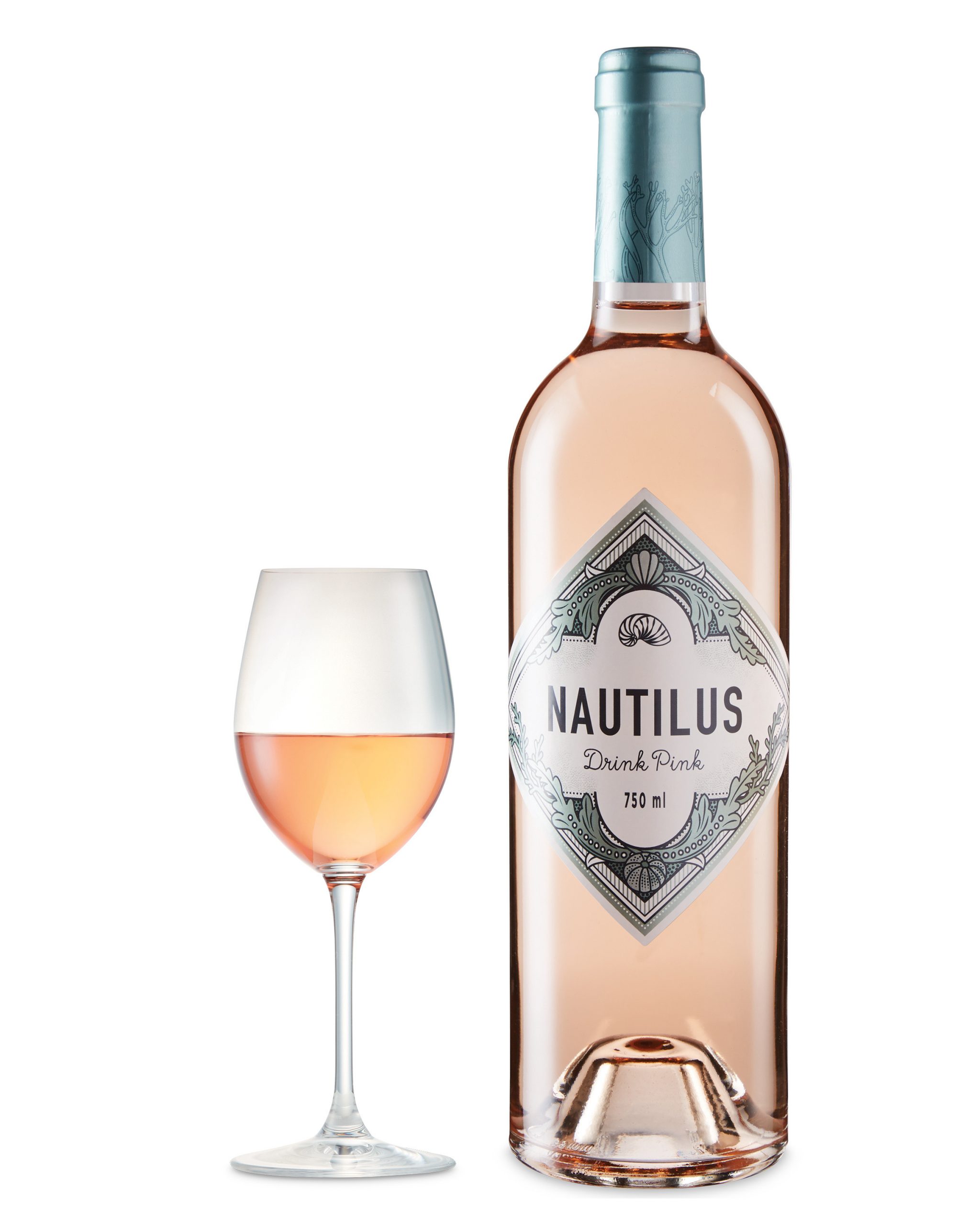 Nautilus rose